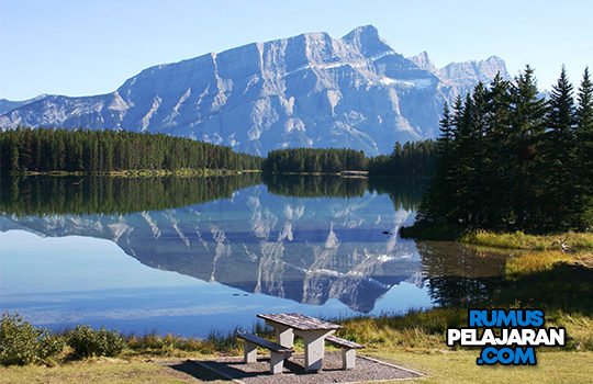 Materi Abiotik Fungsi Komponen Macam Contoh