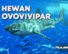 Pengertian Hewan Ovovivipar Definisi Ciri Contoh dan Penjelasan
