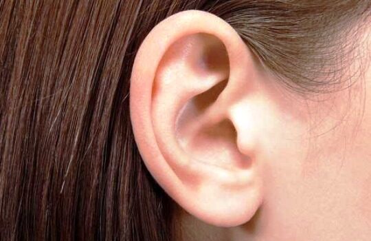 Krama Inggile Kuping