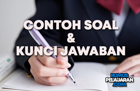 Sebutkan Fungsi dari Parenkim Spons