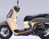 Tips Membeli Honda Scoopy Bekas agar Tidak Salah Pilih